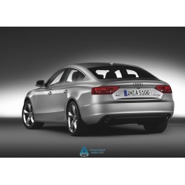 Audi A5 dal 2009 sx asferico termico